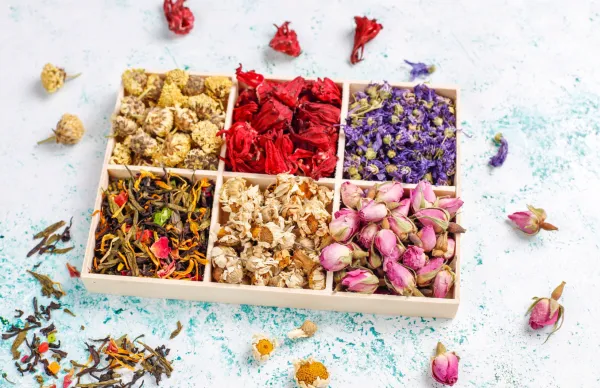 Tıbbi ve Aromatik Bitkiler Eğitimi