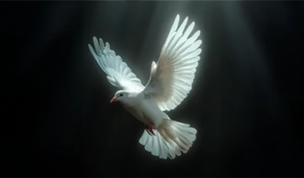 Cenaze Hizmetleri (Gassallık) Eğitimi